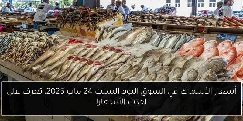 أسعار الأسماك في السوق اليوم السبت 24 مايو 2025، تعرف على أحدث الأسعار!