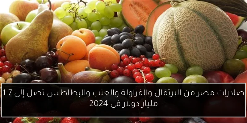 صادرات مصر من البرتقال والفراولة والعنب والبطاطس تصل إلى 1.7 مليار دولار في 2024
