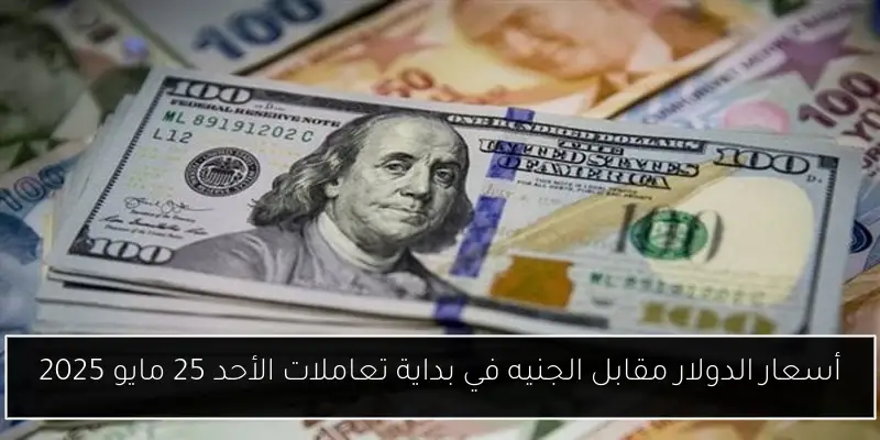 أسعار الدولار مقابل الجنيه في بداية تعاملات الأحد 25 مايو 2025