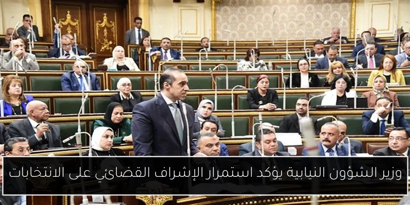 وزير الشؤون النيابية يؤكد استمرار الإشراف القضائي على الانتخابات