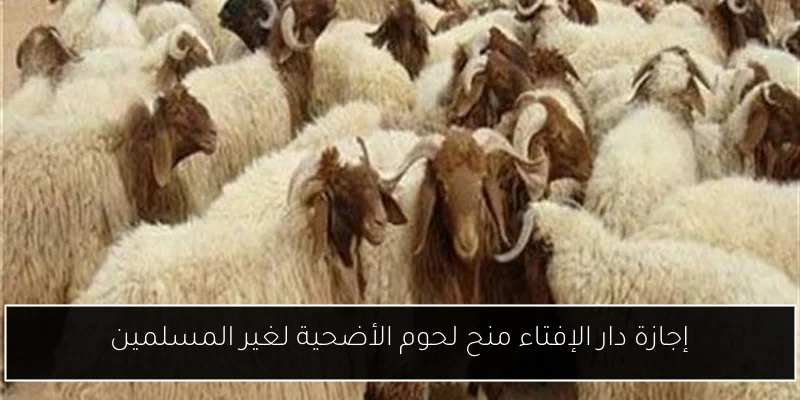 إجازة دار الإفتاء منح لحوم الأضحية لغير المسلمين