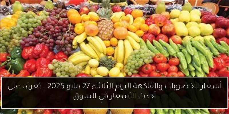 أسعار الخضروات والفاكهة اليوم الثلاثاء 27 مايو 2025.. تعرف على أحدث الأسعار في السوق