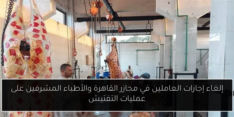 إلغاء إجازات العاملين في مجازر القاهرة والأطباء المشرفين على عمليات التفتيش