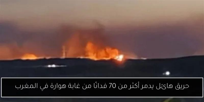 حريق هائل يدمر أكثر من 70 فدانًا من غابة هوارة في المغرب