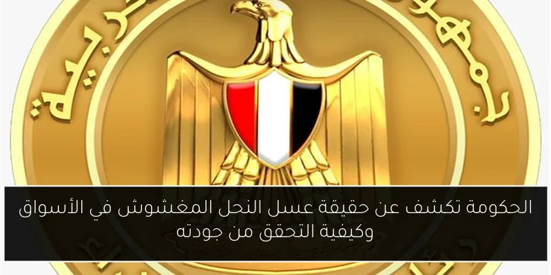 الحكومة تكشف عن حقيقة عسل النحل المغشوش في الأسواق وكيفية التحقق من جودته