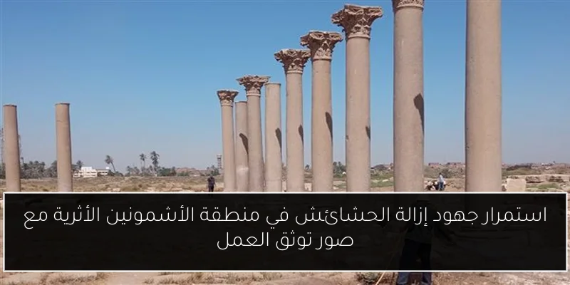 استمرار جهود إزالة الحشائش في منطقة الأشمونين الأثرية مع صور توثق العمل