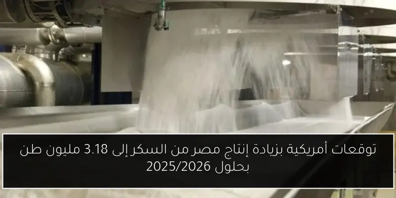 توقعات أمريكية بزيادة إنتاج مصر من السكر إلى 3.18 مليون طن بحلول 2025/2026