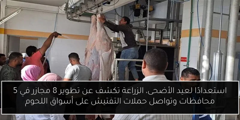 استعدادًا لعيد الأضحى، الزراعة تكشف عن تطوير 8 مجازر في 5 محافظات وتواصل حملات التفتيش على أسواق اللحوم