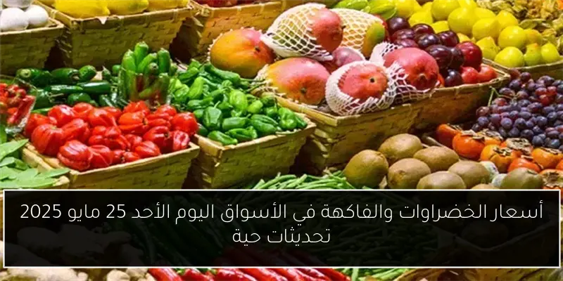 نقابة الأسنان تدعو إلى خطة عاجلة لحماية خريجي الاستعاضة الثابتة والمتحركة بسبب تهديد عدم توحيد المناهج للاعتراف الدولي بالشهادات