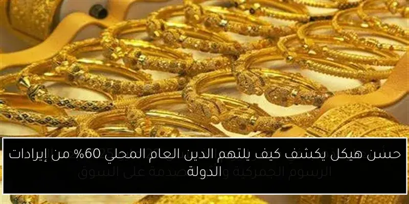 حسن هيكل يكشف كيف يلتهم الدين العام المحلي 60% من إيرادات الدولة