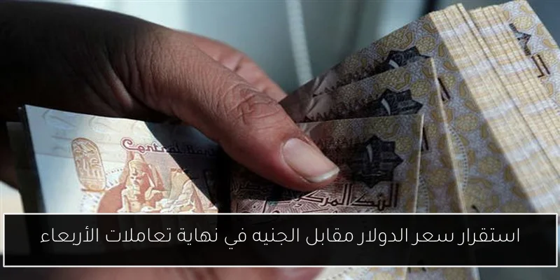 استقرار سعر الدولار مقابل الجنيه في نهاية تعاملات الأربعاء