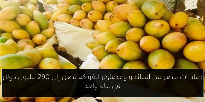 صادرات مصر من المانجو وعصائر الفواكه تصل إلى 290 مليون دولار في عام واحد