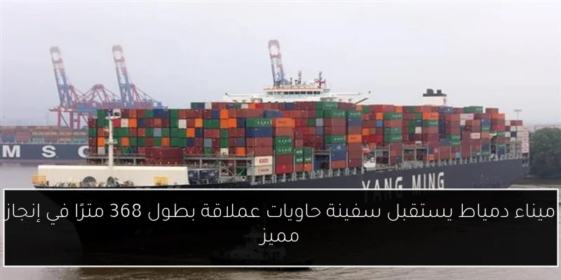 ميناء دمياط يستقبل سفينة حاويات عملاقة بطول 368 مترًا في إنجاز مميز