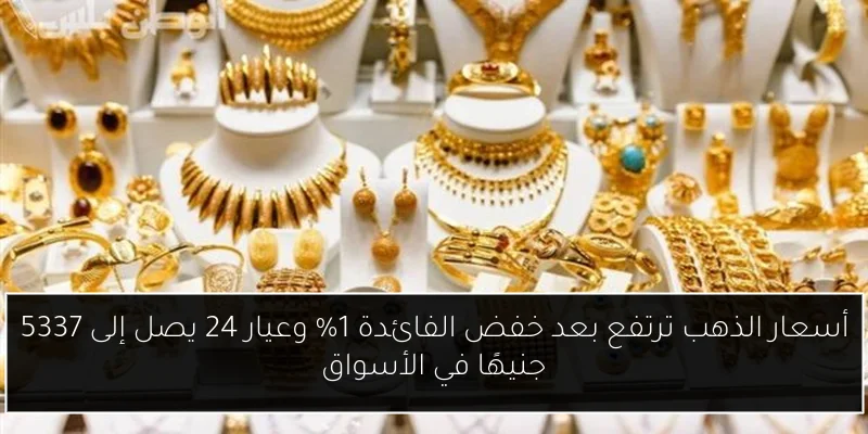 أسعار الذهب ترتفع بعد خفض الفائدة 1% وعيار 24 يصل إلى 5337 جنيهًا في الأسواق