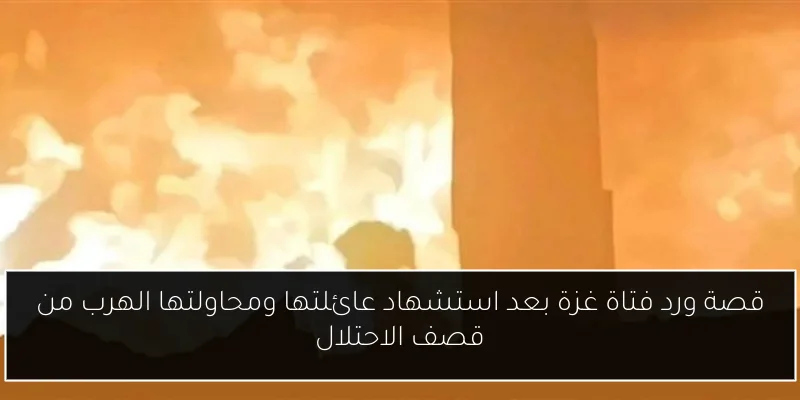 قصة ورد فتاة غزة بعد استشهاد عائلتها ومحاولتها الهرب من قصف الاحتلال
