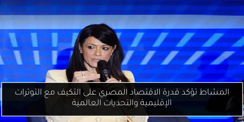 المشاط تؤكد قدرة الاقتصاد المصري على التكيف مع التوترات الإقليمية والتحديات العالمية