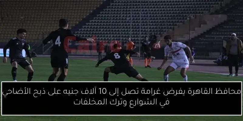محافظ القاهرة يفرض غرامة تصل إلى 10 آلاف جنيه على ذبح الأضاحي في الشوارع وترك المخلفات