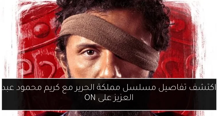 اكتشف تفاصيل مسلسل مملكة الحرير مع كريم محمود عبد العزيز على ON