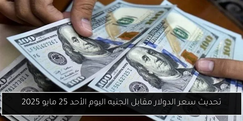 تحديث سعر الدولار مقابل الجنيه اليوم الأحد 25 مايو 2025