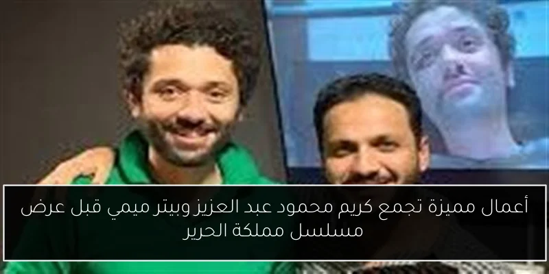 أعمال مميزة تجمع كريم محمود عبد العزيز وبيتر ميمي قبل عرض مسلسل مملكة الحرير