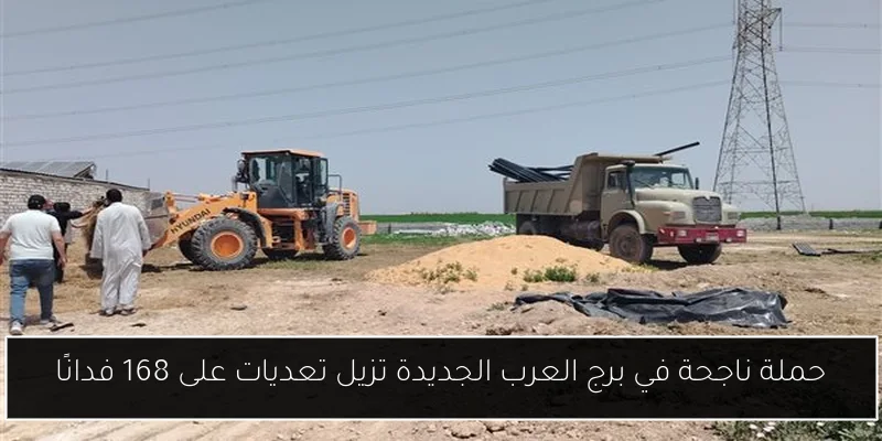 حملة ناجحة في برج العرب الجديدة تزيل تعديات على 168 فدانًا
