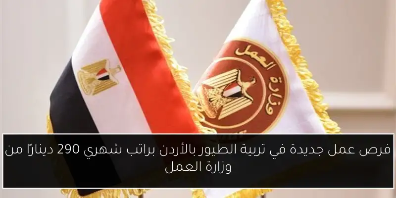 فرص عمل جديدة في تربية الطيور بالأردن براتب شهري 290 دينارًا من وزارة العمل