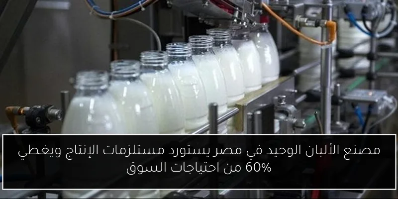 مصنع الألبان الوحيد في مصر يستورد مستلزمات الإنتاج ويغطي 60% من احتياجات السوق