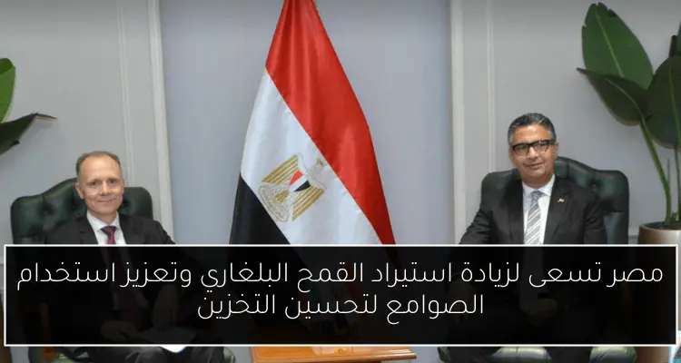مصر تسعى لزيادة استيراد القمح البلغاري وتعزيز استخدام الصوامع لتحسين التخزين