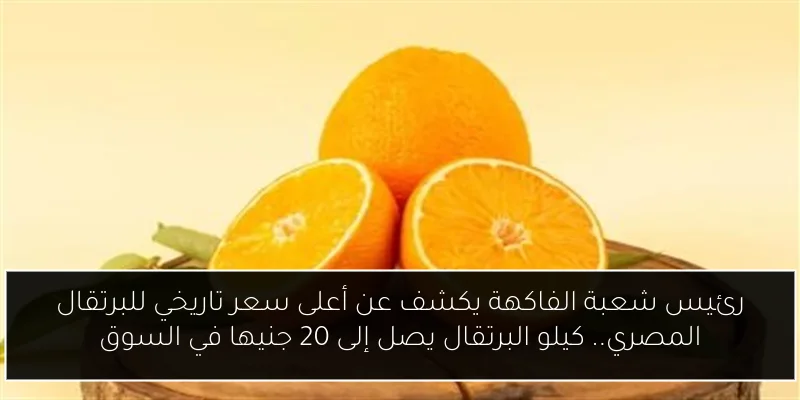 رئيس شعبة الفاكهة يكشف عن أعلى سعر تاريخي للبرتقال المصري.. كيلو البرتقال يصل إلى 20 جنيها في السوق