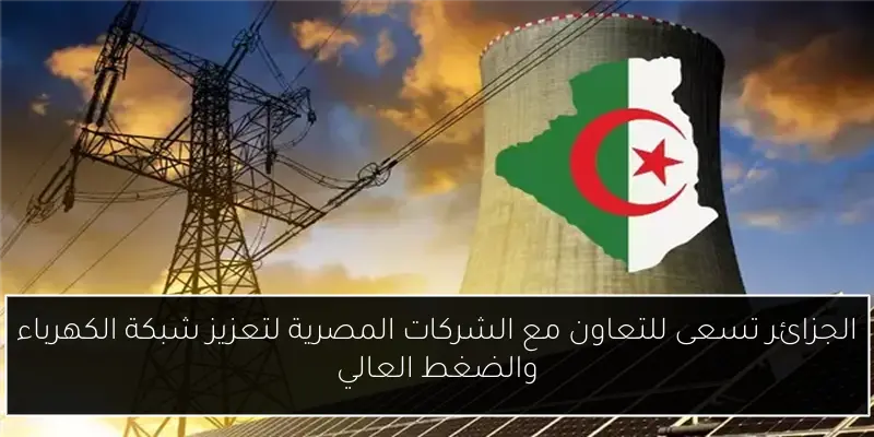 الجزائر تسعى للتعاون مع الشركات المصرية لتعزيز شبكة الكهرباء والضغط العالي