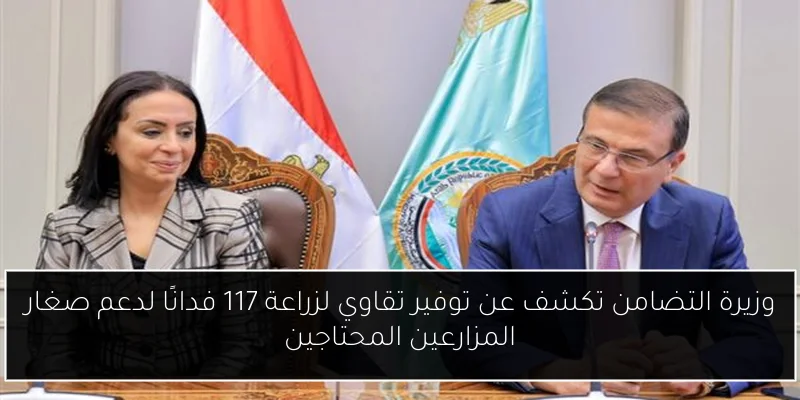 وزيرة التضامن تكشف عن توفير تقاوي لزراعة 117 فدانًا لدعم صغار المزارعين المحتاجين