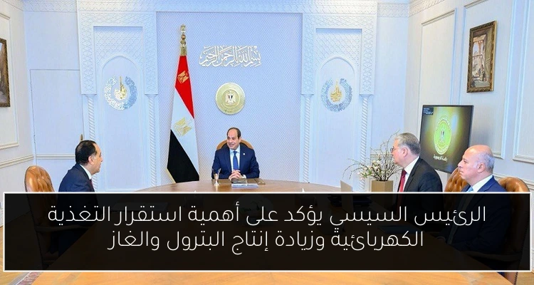 الرئيس السيسي يؤكد على أهمية استقرار التغذية الكهربائية وزيادة إنتاج البترول والغاز