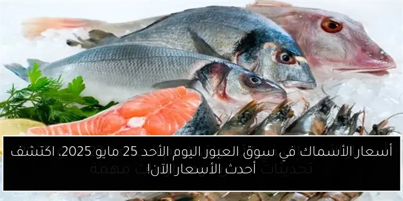 أسعار الأسماك في سوق العبور اليوم الأحد 25 مايو 2025، اكتشف أحدث الأسعار الآن!