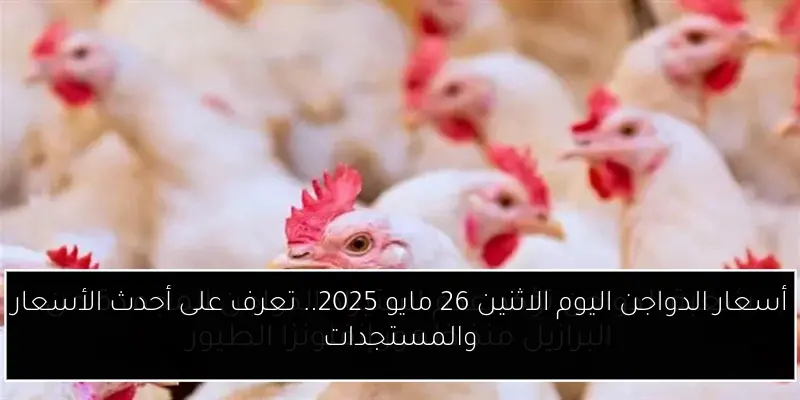 أسعار الدواجن اليوم الاثنين 26 مايو 2025.. تعرف على أحدث الأسعار والمستجدات