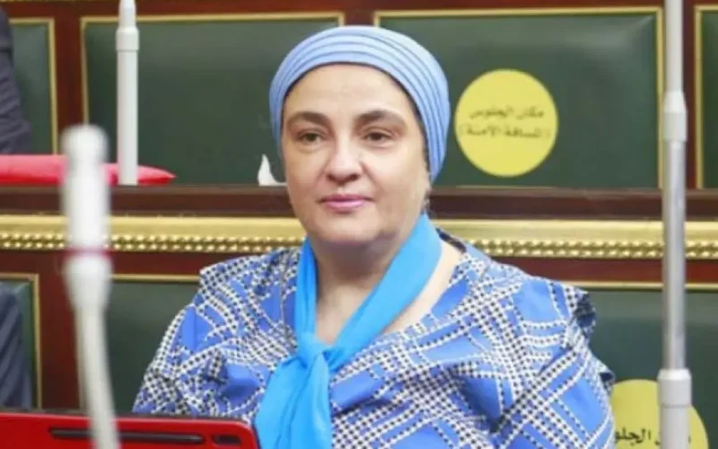 النائبة سميرة الجزار: العديد من المحافظات تواجه خطر محو تاريخها وتراثها