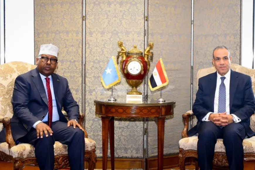 وزير الخارجية ونظيره الصومالي يؤكدان على ضرورة الإسراع في إنشاء البعثة الأفريقية الجديدة لدعم الاستقرار في الصومال