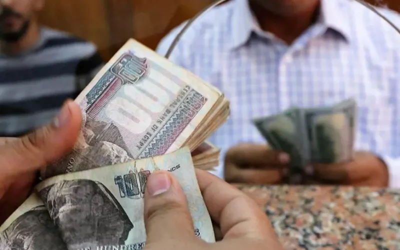 طريقة مراقبة الدولة لتنفيذ شركات القطاع الخاص للحد الأدنى للأجور