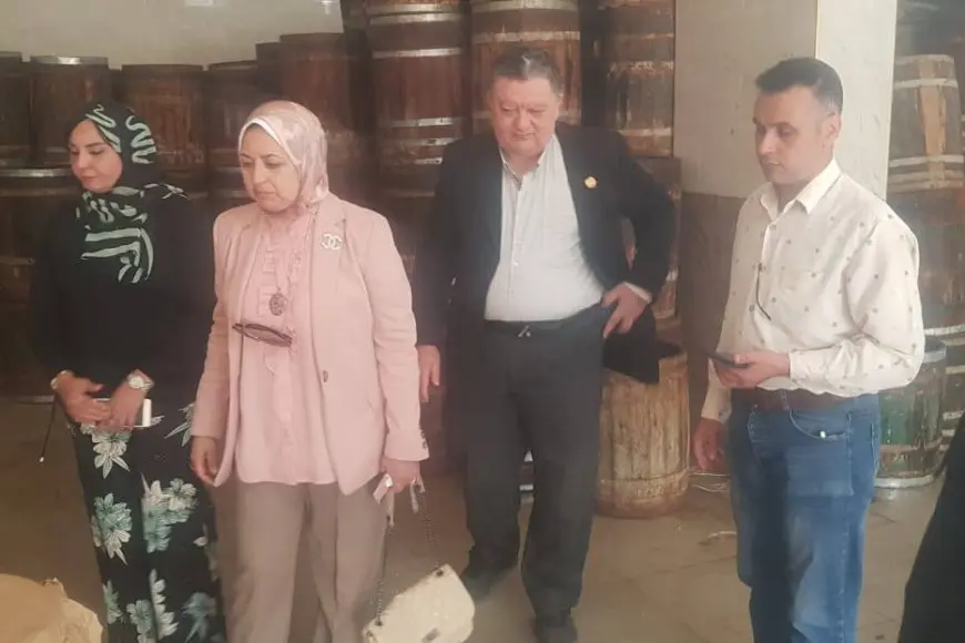 محافظ الدقهلية: مصادرة وإتلاف 550 كيلو فسيخ خلال حملة صحية