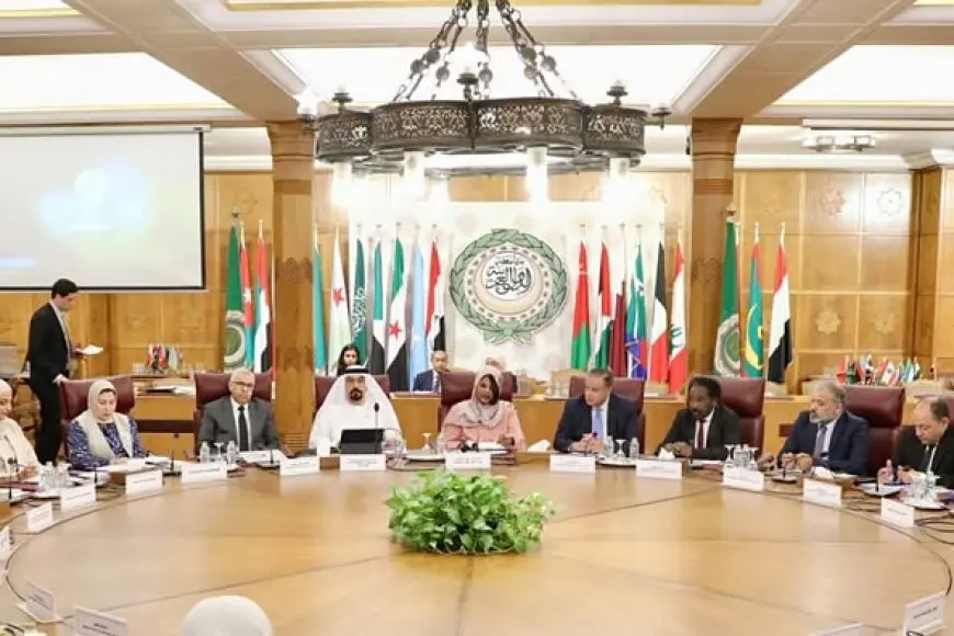 الجامعة العربية تؤكد على ضرورة التنسيق في التعاون بالمنتديات الدولية