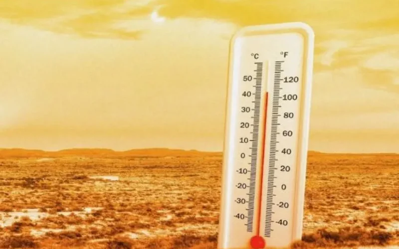 حالة الطقس اليوم: ضباب كثيف وارتفاع درجات الحرارة وفقًا لتقارير الأرصاد الجوية