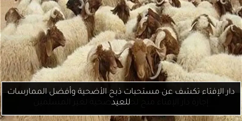 دار الإفتاء تكشف عن مستحبات ذبح الأضحية وأفضل الممارسات للعيد