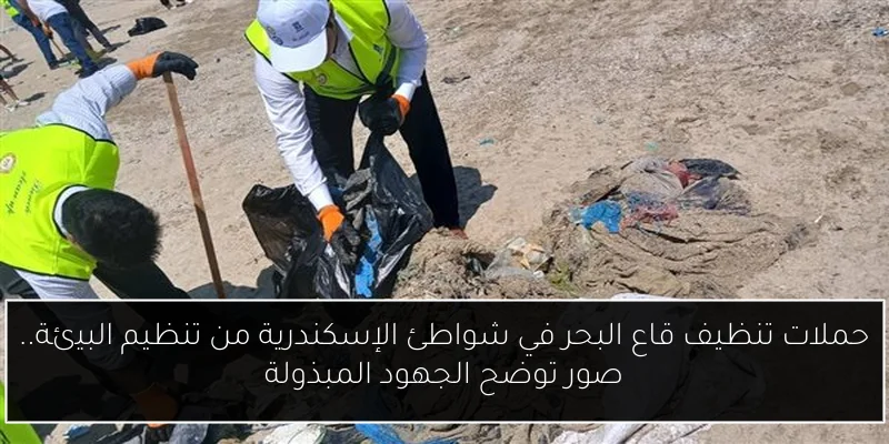 حملات تنظيف قاع البحر في شواطئ الإسكندرية من تنظيم البيئة.. صور توضح الجهود المبذولة