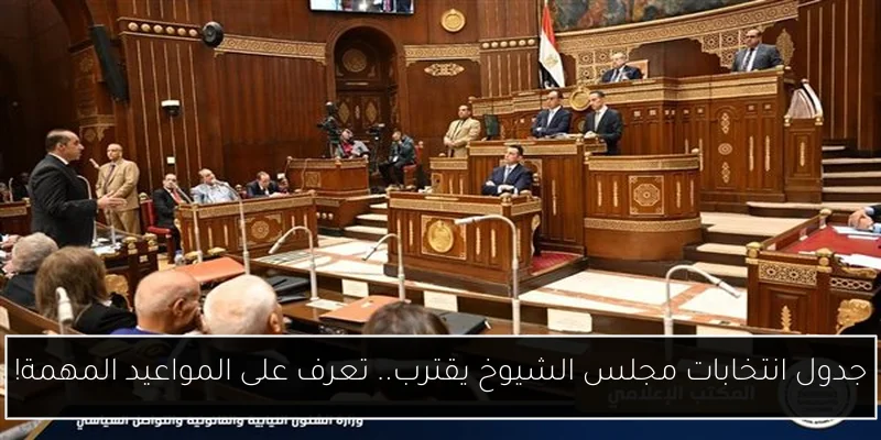 جدول انتخابات مجلس الشيوخ يقترب.. تعرف على المواعيد المهمة!