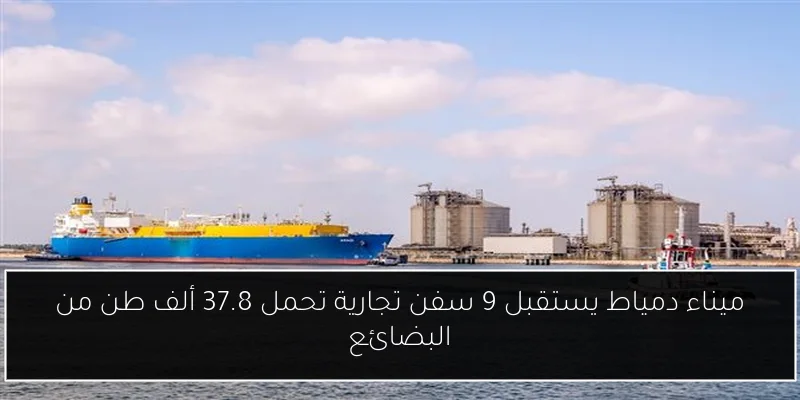 ميناء دمياط يستقبل 9 سفن تجارية تحمل 37.8 ألف طن من البضائع