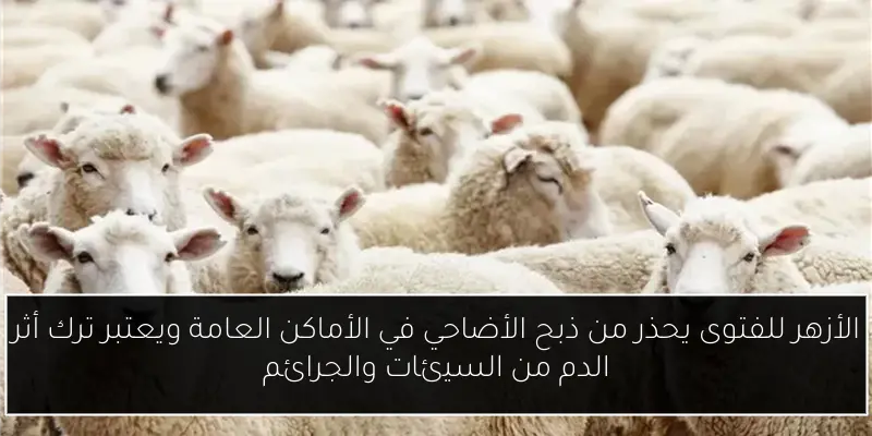 الأزهر للفتوى يحذر من ذبح الأضاحي في الأماكن العامة ويعتبر ترك أثر الدم من السيئات والجرائم