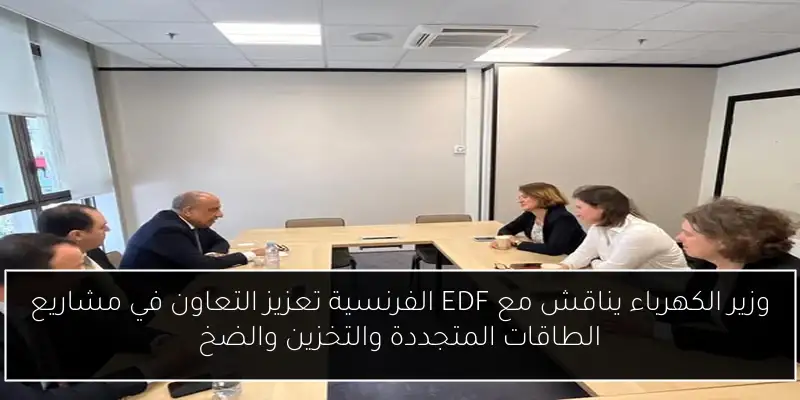 وزير الكهرباء يناقش مع EDF الفرنسية تعزيز التعاون في مشاريع الطاقات المتجددة والتخزين والضخ