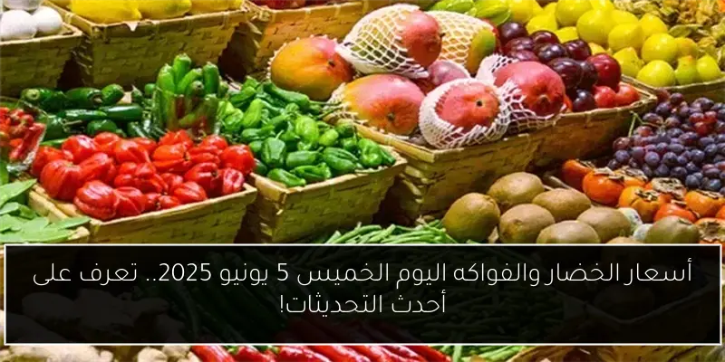 وزير المالية يعلن عن دعم 70 مليار جنيه لأكثر من 2800 شركة مصدرة خلال 5 سنوات