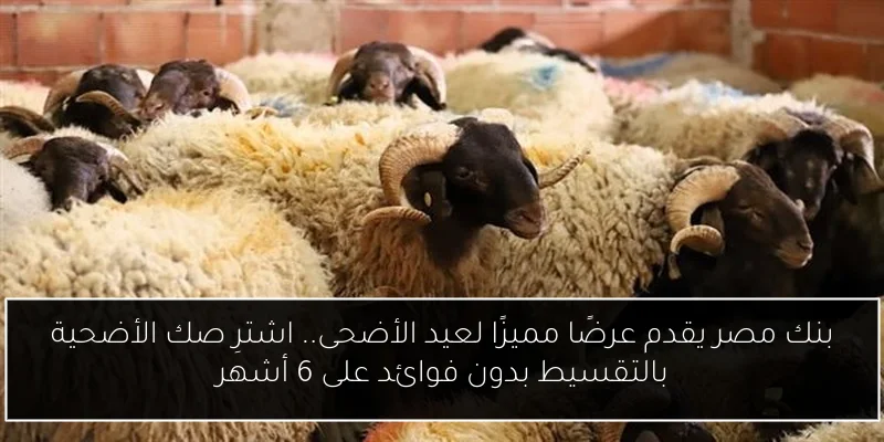 بنك مصر يقدم عرضًا مميزًا لعيد الأضحى.. اشترِ صك الأضحية بالتقسيط بدون فوائد على 6 أشهر