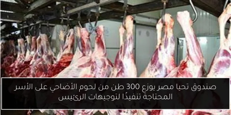 صندوق تحيا مصر يوزع 300 طن من لحوم الأضاحي على الأسر المحتاجة تنفيذًا لتوجيهات الرئيس