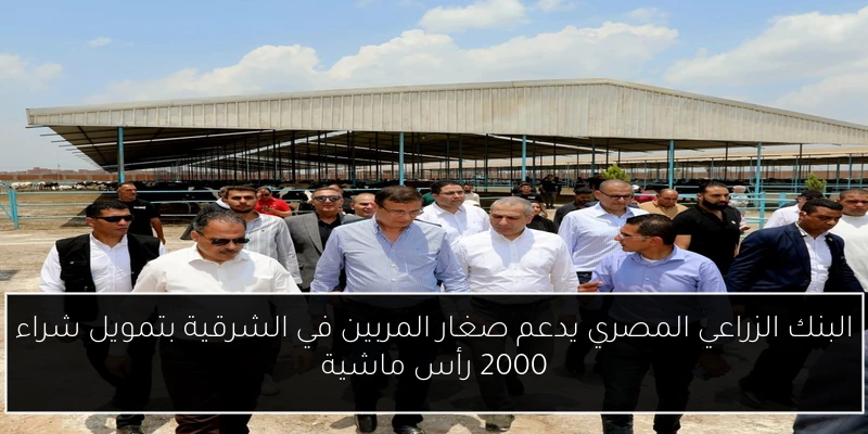 البنك الزراعي المصري يدعم صغار المربين في الشرقية بتمويل شراء 2000 رأس ماشية